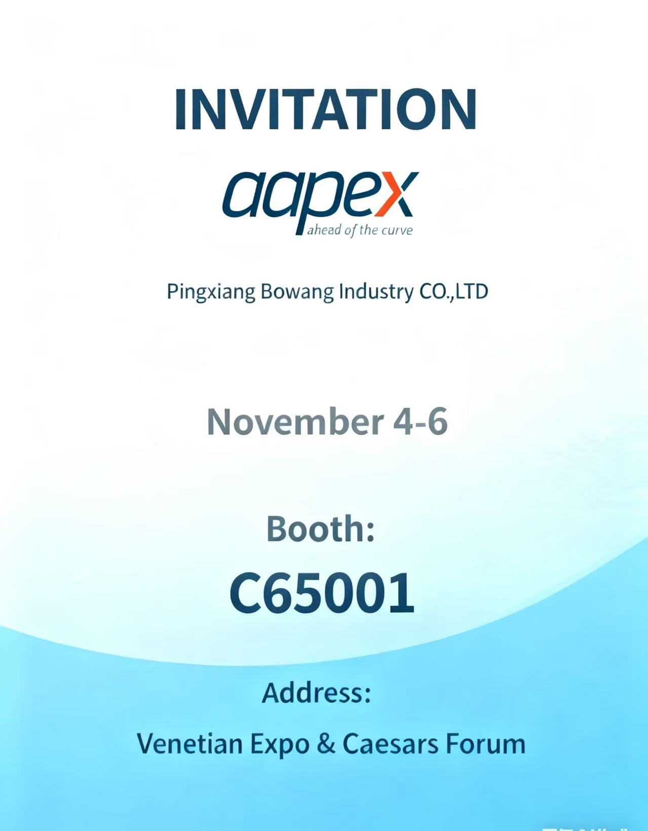  AAPEX 2025&nbsp;: les innovations en mati&egrave;re d'&eacute;clairage automobile LED occupent le devant de la sc&egrave;ne sur le stand C65001